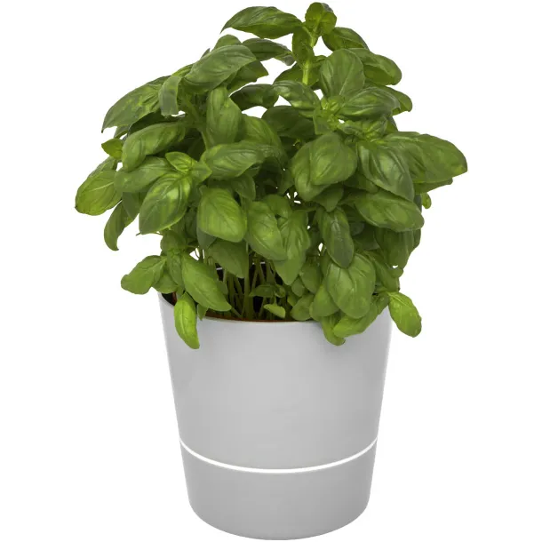 Herbs Tegla za biljke - Mepal Siva