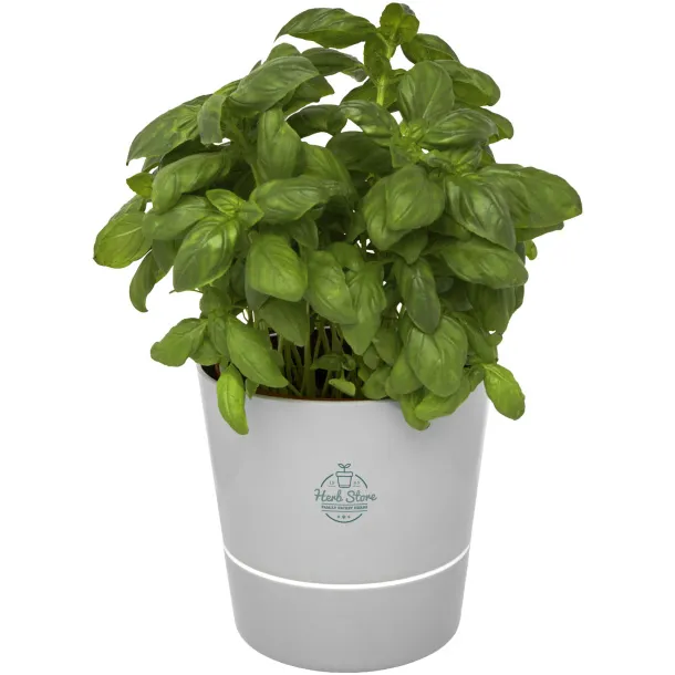 Herbs Tegla za biljke - Mepal Siva