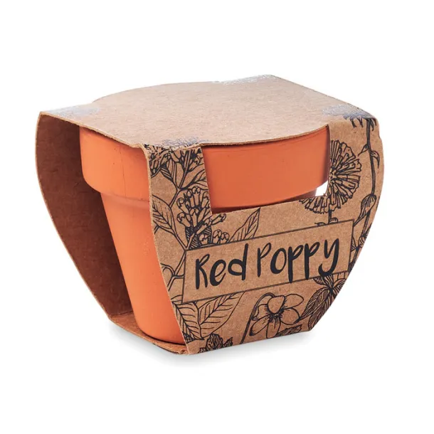 RED POPPY poppy in terracotta pot Wood