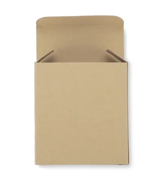 TRUVI Wireless earphones Bijela