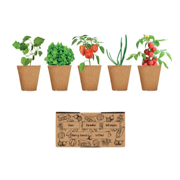 SALAD Salad growing kit Beige