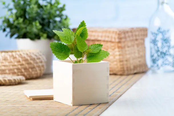 Merin mint herb pot Natural