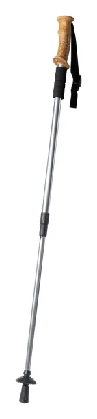 Sells nordic walking stick Silver