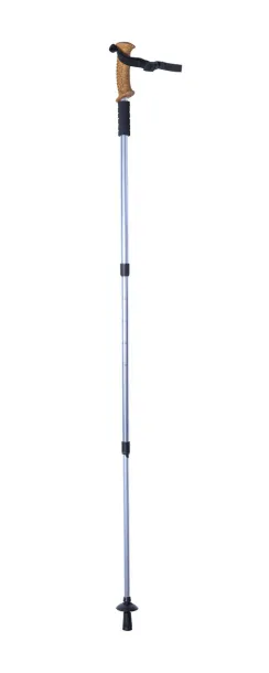 Caterpil nordic walking stick Silver