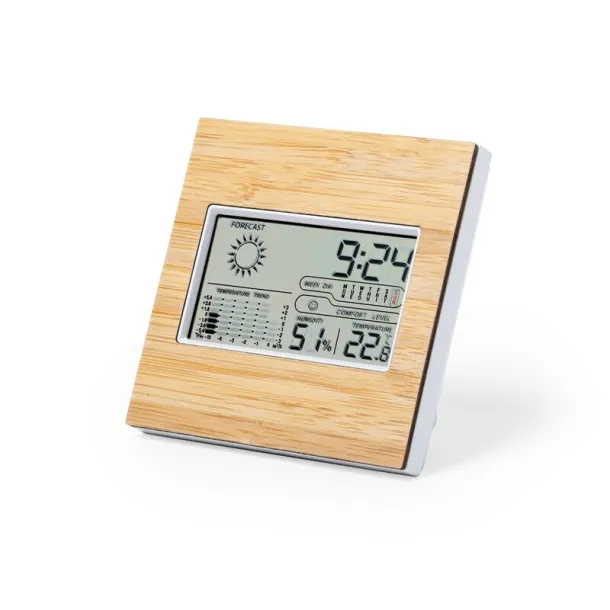  Weather station neutral