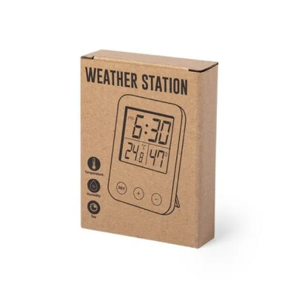  Weather station brown