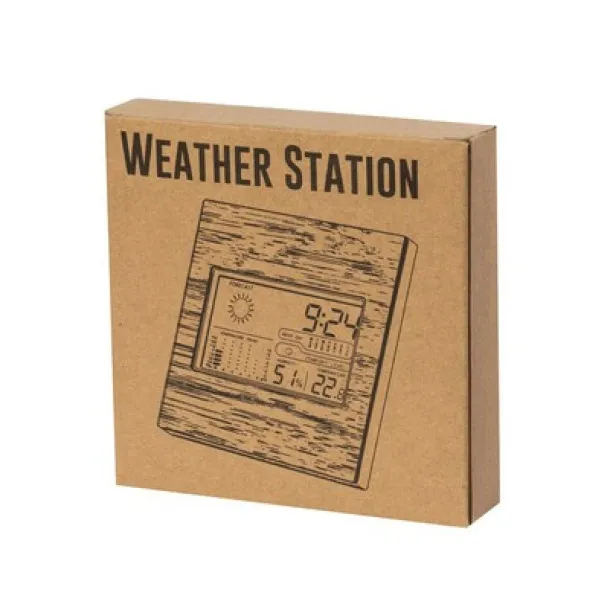  Weather station neutral