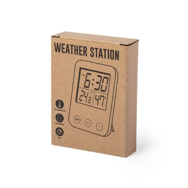  Weather station brown