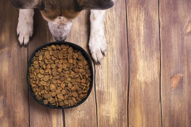 Vurex dog bowl Natural