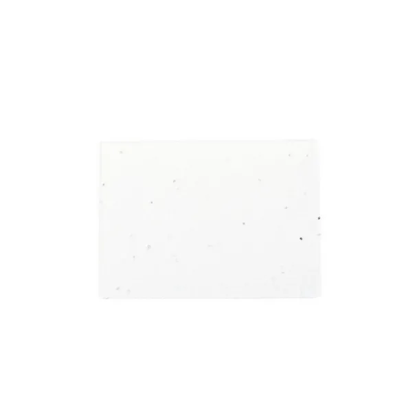  Set ljepljivih bilješki sa sjemenkama white