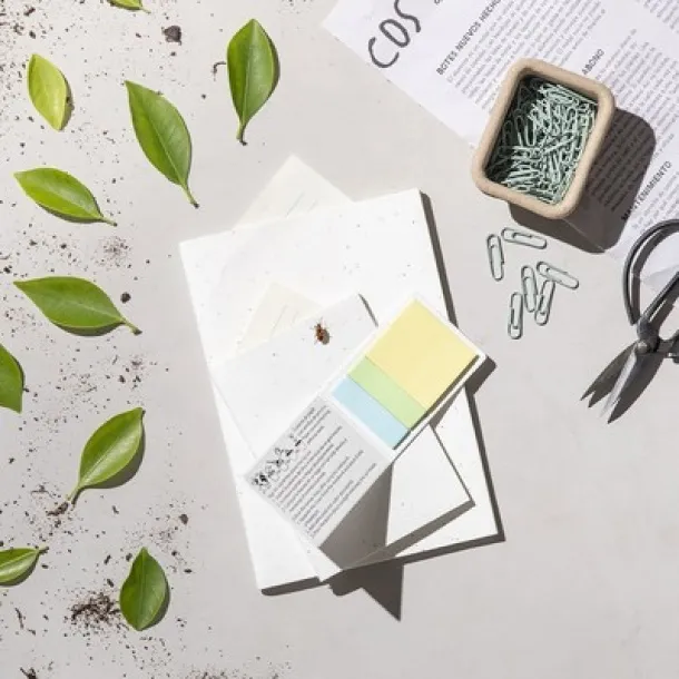  Memo holder, sticky notes, seed paper white