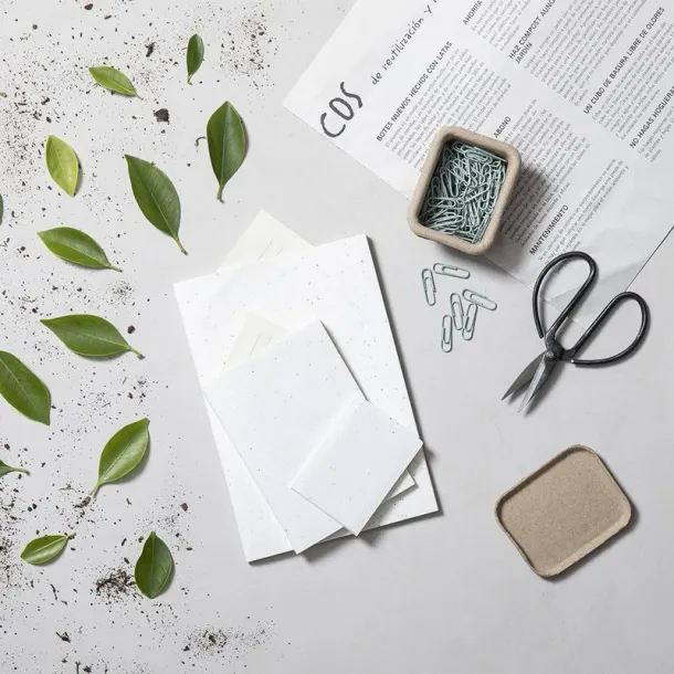  Set ljepljivih bilješki sa sjemenkama white