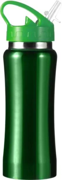  Stainless steel bottle Serena green