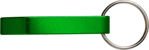  FELIX Metal 2-in-1 key holder green