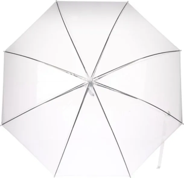  POE umbrella Denise