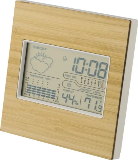  Bamboo weather station Lia