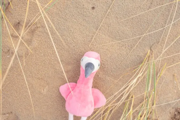  Plush flamingo Alicia