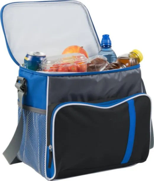  Polyester (600D) cooler bag Ravi