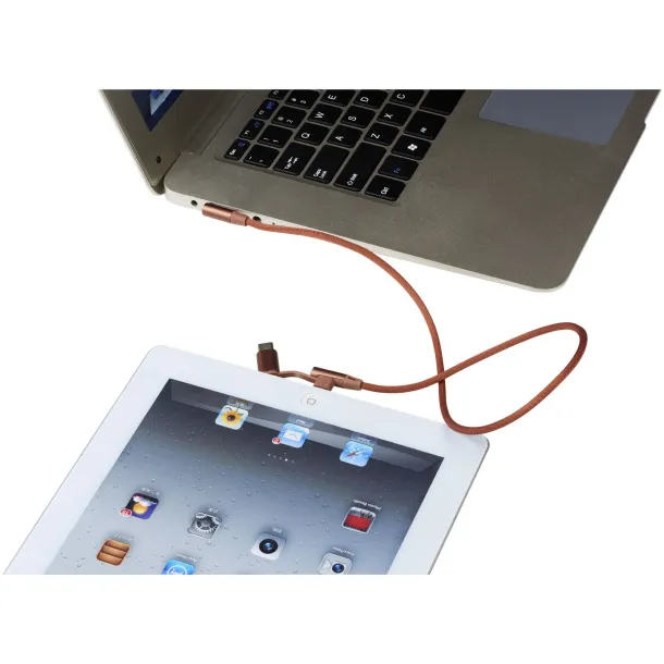 Ecliptic 3-in-1 charging cable - Avenue Brown