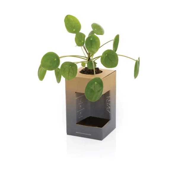  Avira Alya RCS Re-steel tumbler 300ML - Avira Kraljevski plava