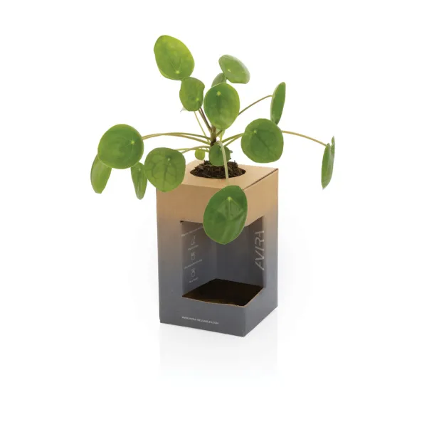  Avira Alya RCS Re-steel tumbler 300ML - Avira Kraljevski plava