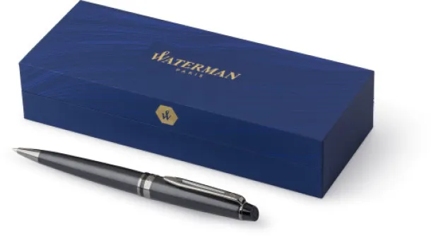  Waterman Expert ballpen - Waterman