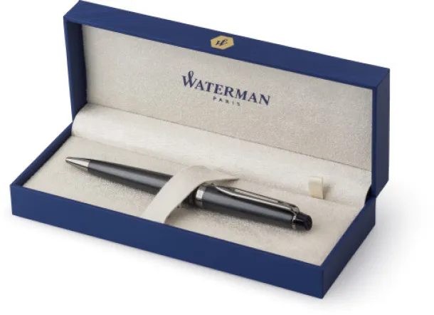  Waterman Expert ballpen - Waterman