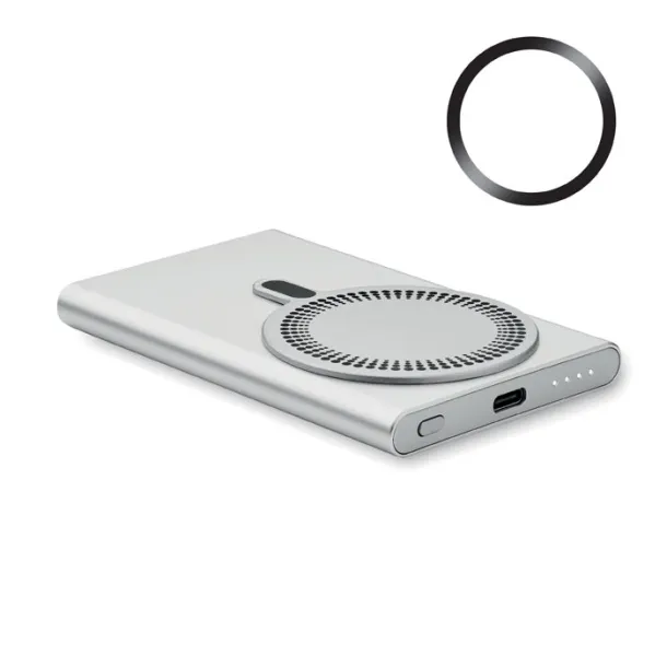 PAWTT Wireless charger power bank Matt Silver