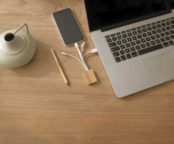 Brandan Bamboo charging cable 