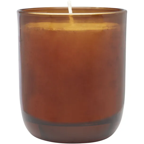 Wellmark Discovery 200 ml hand soap dispenser and 150 g scented candle set - bamboo fragrance - WELLmark Amber heather