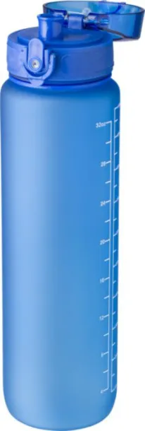 BRINLEY RPET drinking bottle (1000 ml)