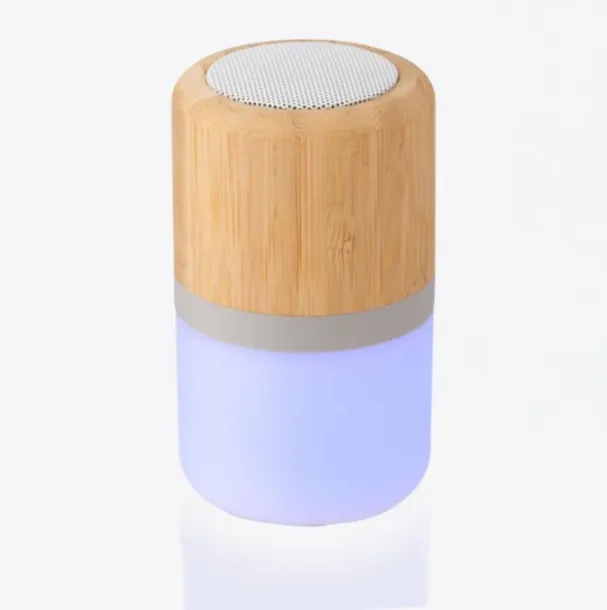 SALVADOR ABS and bamboo speaker