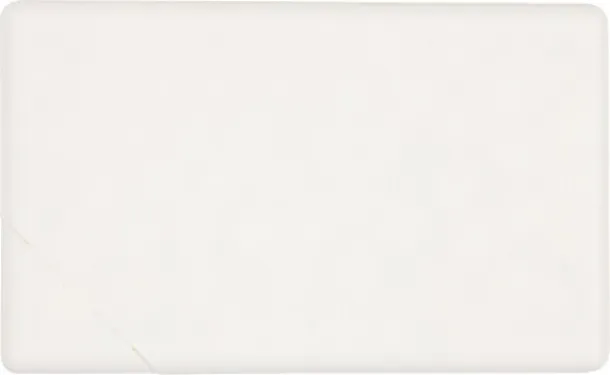  JUDITH PP case with mints Bijela