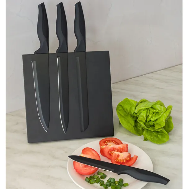 AKITA set of knives on a magnetic block Black