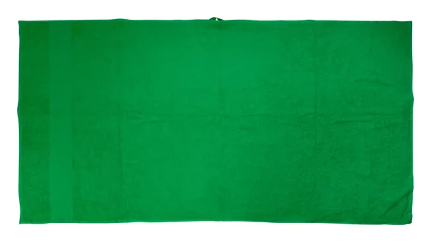 Terry L cotton terry towel - 70×140 cm Green