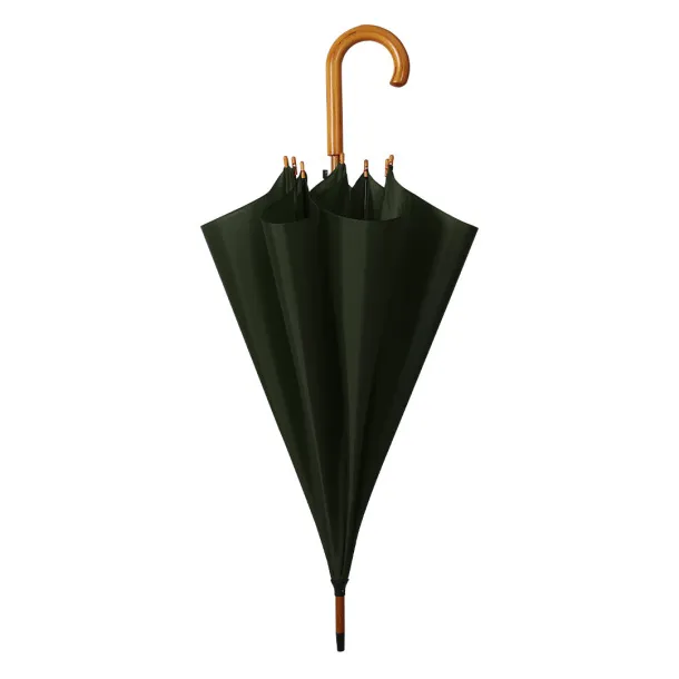 CLASSIC umbrella with automatic open - CASTELLI Green