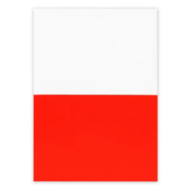 Rolly Electrostatic sticky notes red