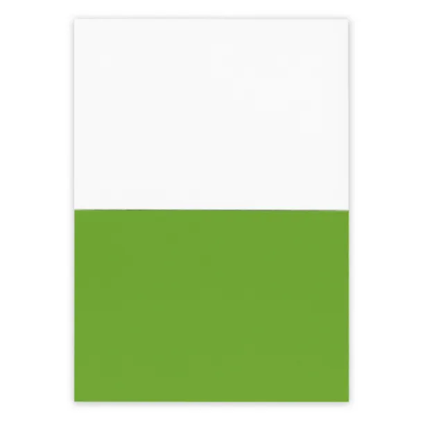 Rolly Electrostatic sticky notes light green