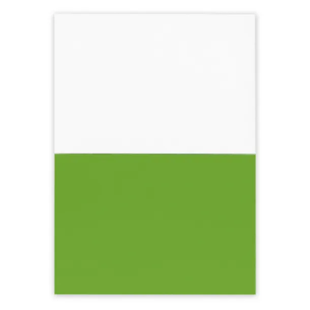 Rolly Electrostatic sticky notes light green