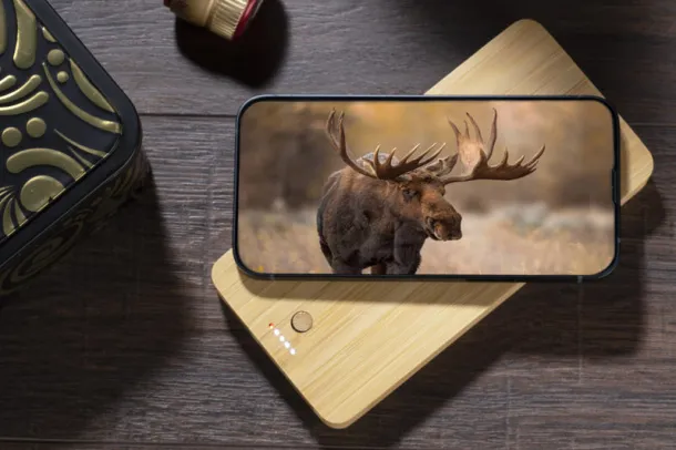 BORRA prijenosna baterija, 10.000 mAh Prirodna