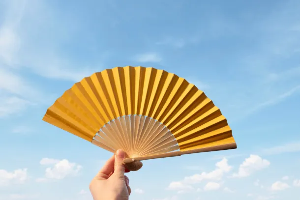 ELIO Bamboo hand held fan