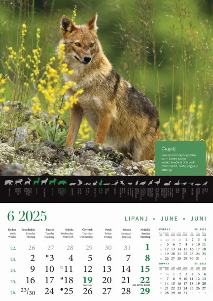  "KALENDAR LOVA" color calendar Color