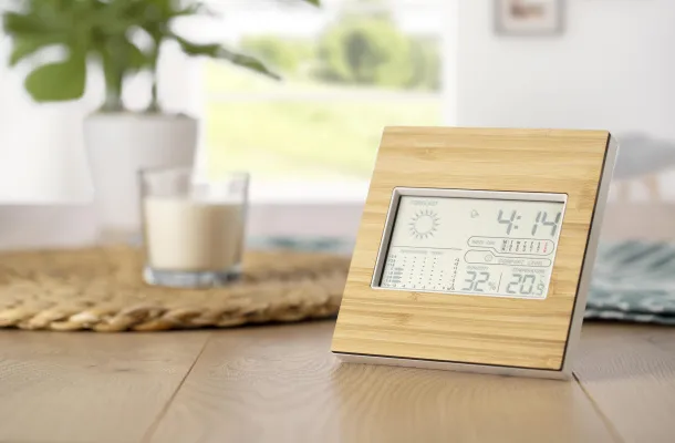 Lia Bamboo weather station