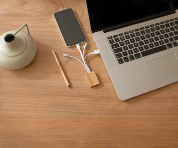 Brandan Bamboo charging cable 