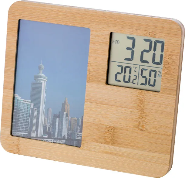  Bamboo weather station Colton