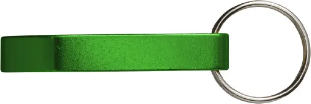  FELIX Metal 2-in-1 key holder green