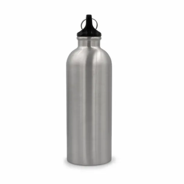 Brenda Sports bottle 500 ml with carabiner clip silver