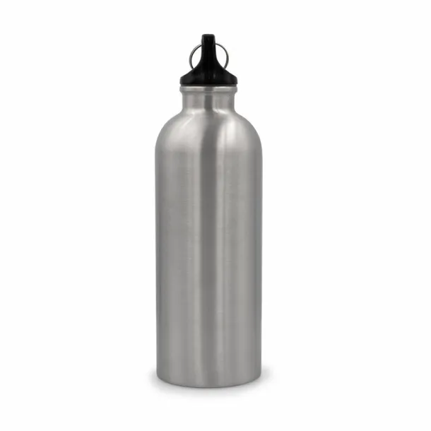 Brenda Sports bottle 500 ml with carabiner clip silver