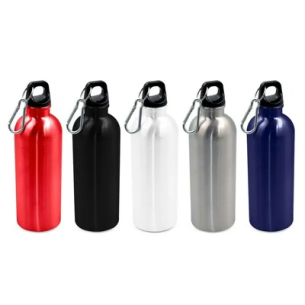 Brenda Sports bottle 500 ml with carabiner clip silver