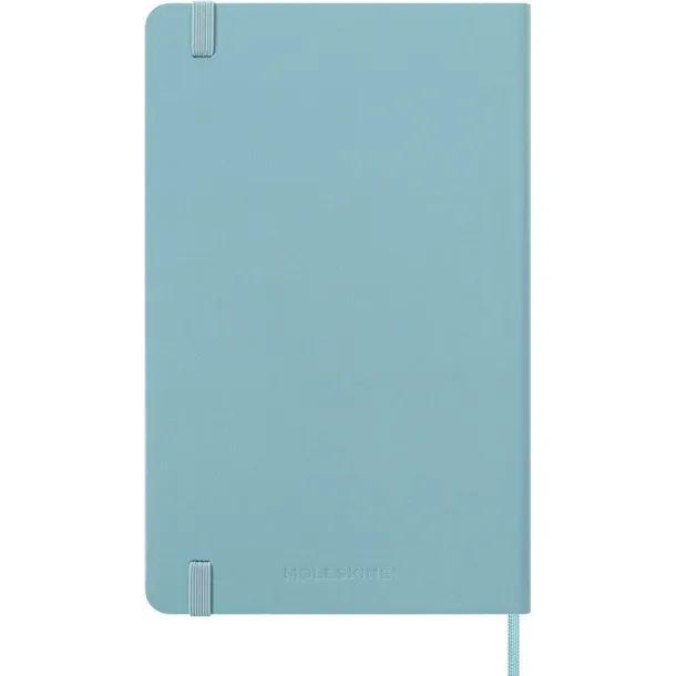  MOLESKINE diary A5 light blue